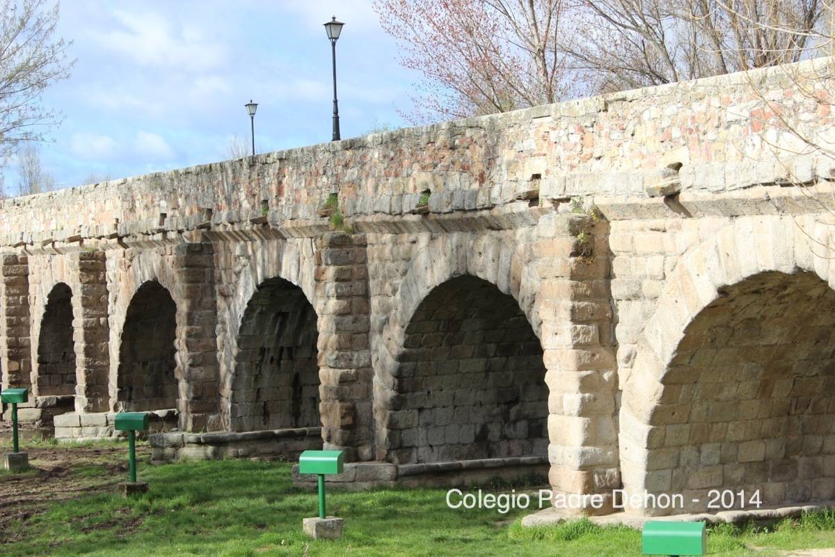 2014 03 22 SALAMANCA PUENTE ROMANO (6)